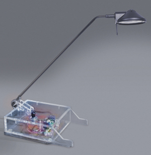 With alternate base Demo lamp